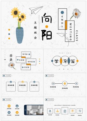 主题班会25