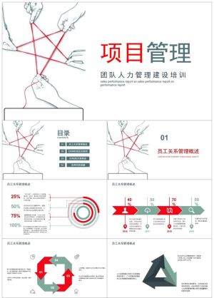 项目管理87