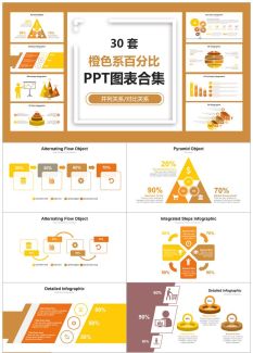 13761_百分比商务图标1