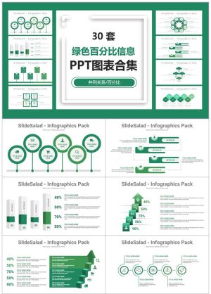 13762_百分比商务图标2