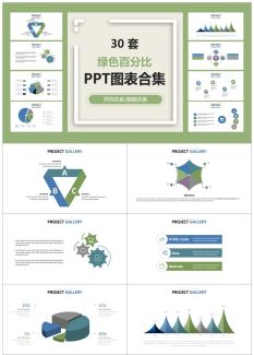 13763_百分比商务图标3