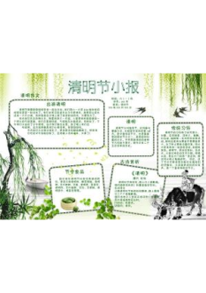 清明节手抄报38